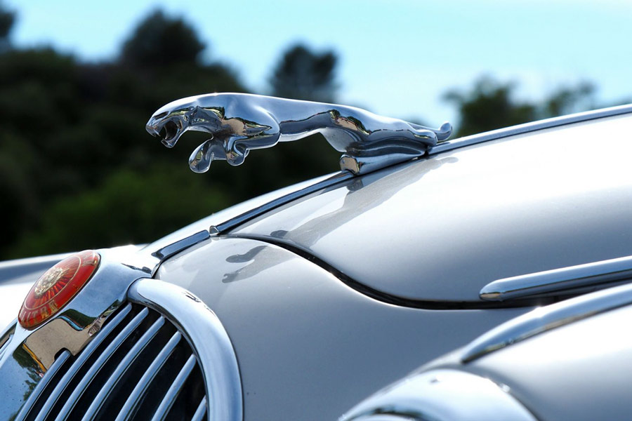Jaguar Emblem